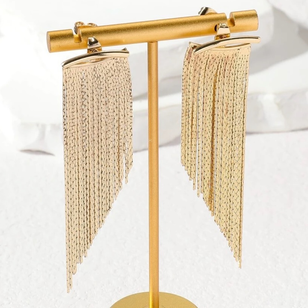 Minimalist Fringe Long Earrings - Picture 9 of 10